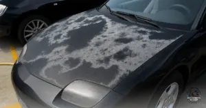 Ceramic Coating Apopka - Professional ceramic coating for cars